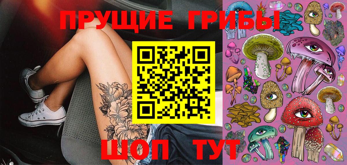 Псилоцибиновые грибы Psilocybine cubensis  Вход с VPN  Рязань 